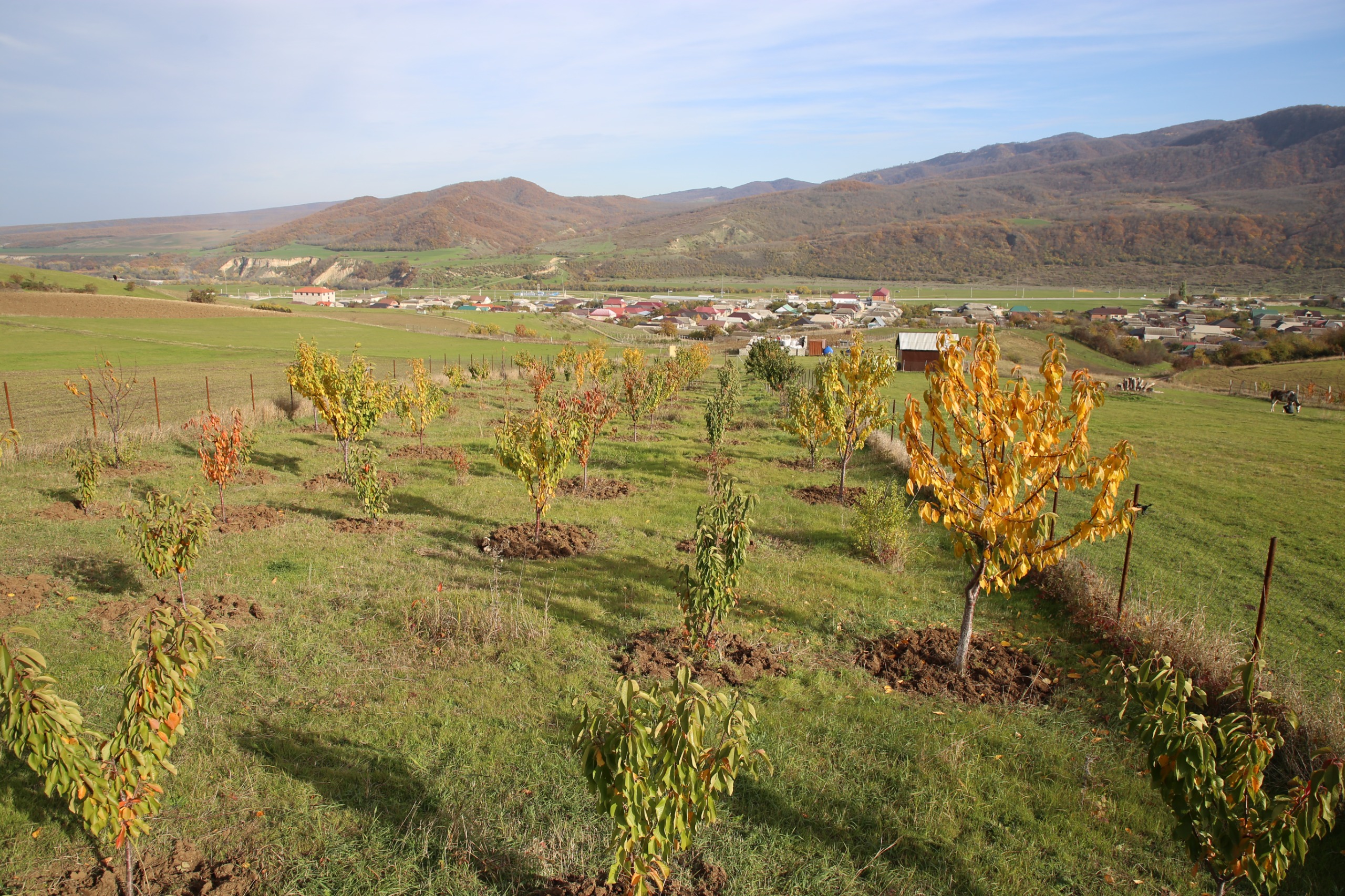 Сотрудники Минэкономразвития проверили ход реализации программы развития горных территорий в Казбековском районе